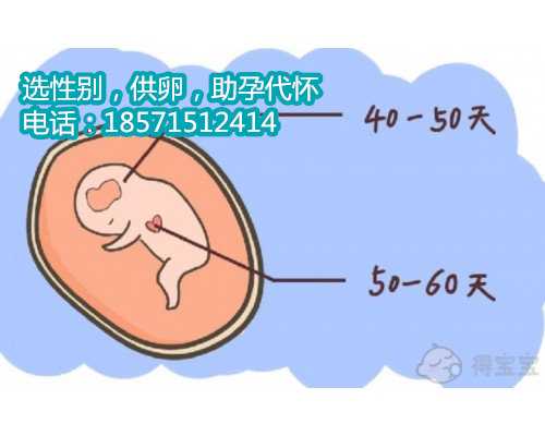 潍坊试管婴儿双胞胎多少钱？