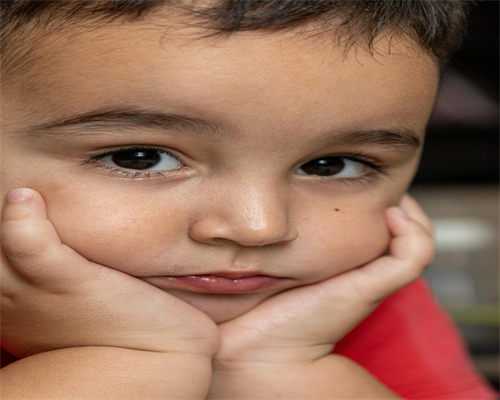 试管婴儿：胚胎移植还是囊胚移植更有优势？