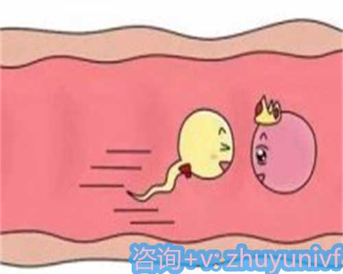 孕期与哺乳期维生素需求及营养补充全解析