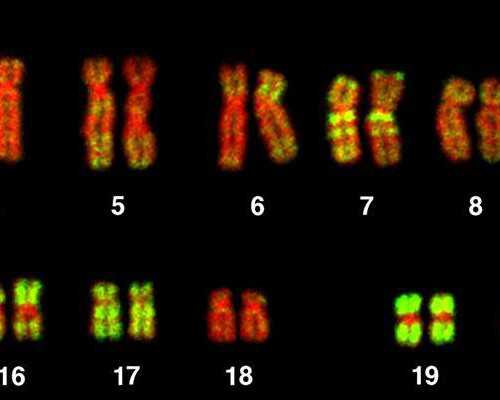 婴幼儿夜间啼哭原因解析：南京试管助孕与辅助生殖的专业视角