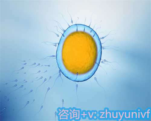 金翅鸟的寿命有多长？