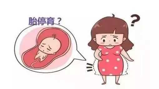 多次人流为何会损害乳腺健康