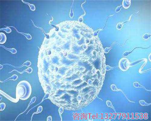 孕期性爱指南：拥抱健康生育新篇章