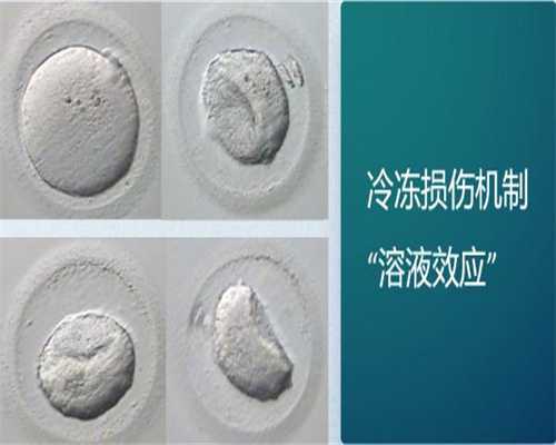 天津地区优质供卵试管婴儿医院推荐及最新名单解析