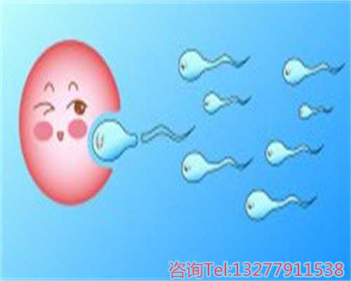 试管婴儿移植前宫腔镜查看的重要性与代生服务