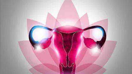 南昌地区热门供卵助孕机构解析：费用与成功率揭秘