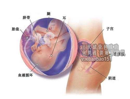 供卵代生孩子哪家专业,天津完美代孕咨询图片,吃榴莲的方式